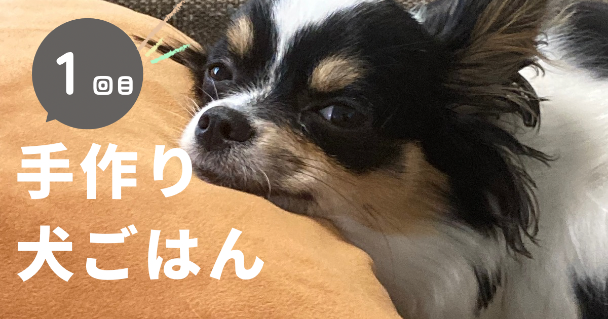 手作り犬のごはん