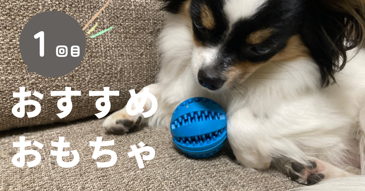 おすすめの犬のおもちゃ