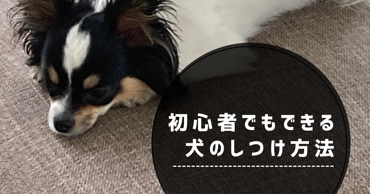 犬の無駄吠え