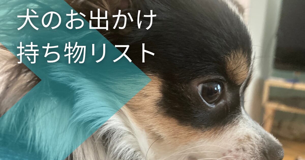 犬の持ち物とパピチワ犬のおはぎ