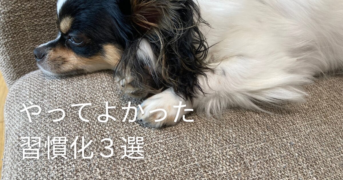役立つ習慣化