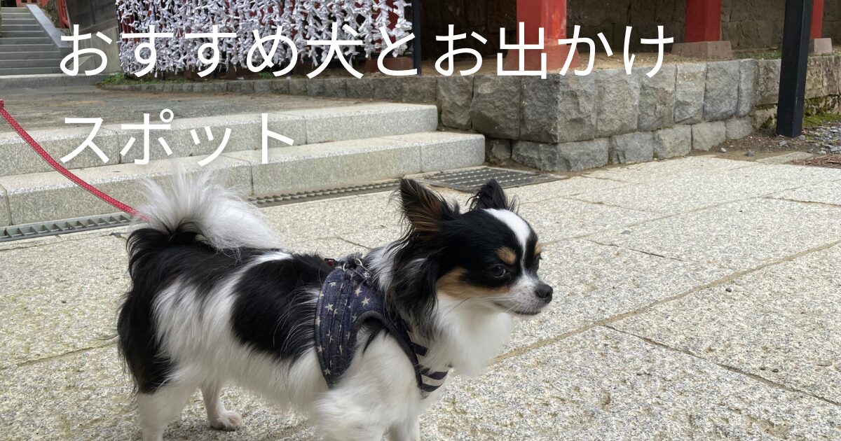 おすすめお出掛けスポット