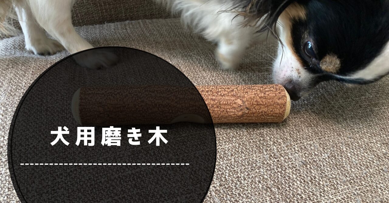磨き木とパピチワ犬のおはぎ