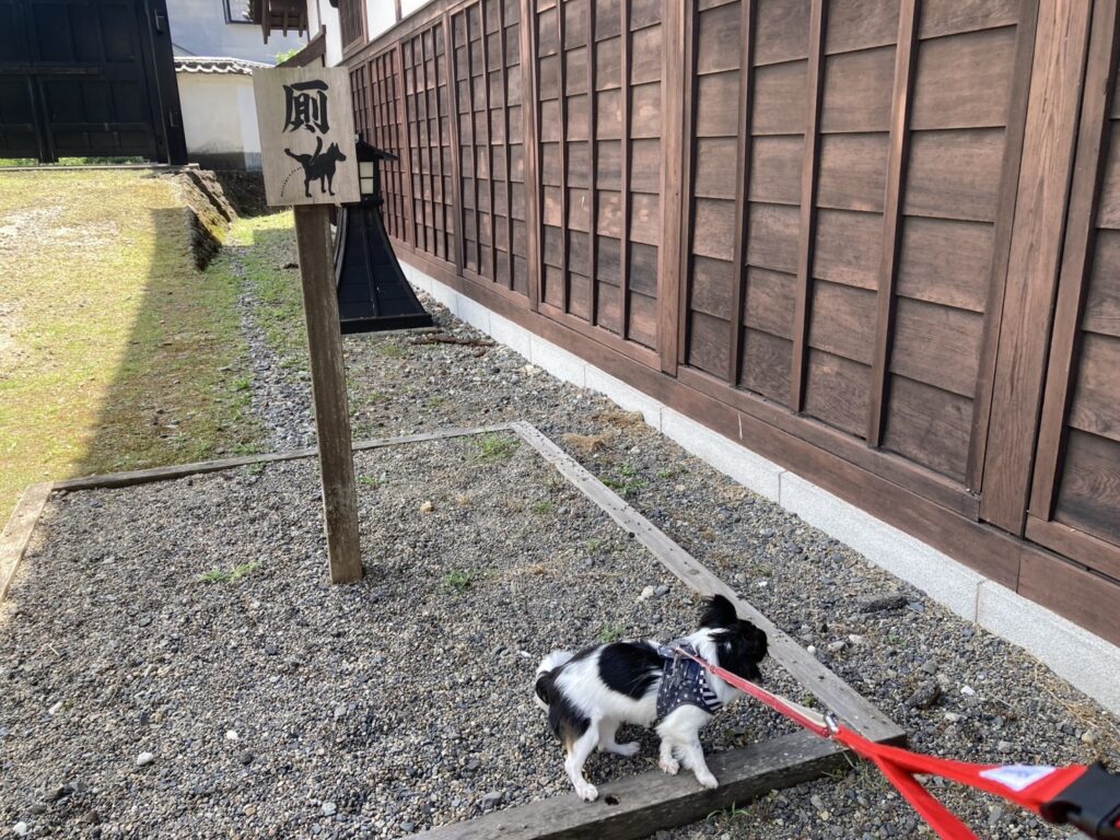 犬用トイレスペース